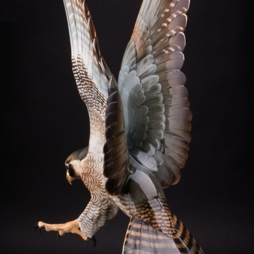 Ястреб, Hutschenreuther, Германия, 1938-55 гг