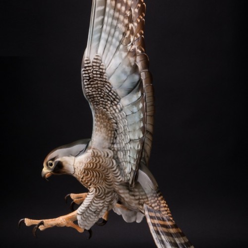 Ястреб, Hutschenreuther, Германия, 1938-55 гг