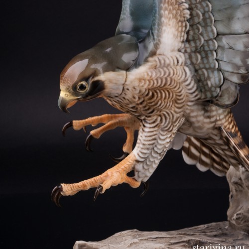 Ястреб, Hutschenreuther, Германия, 1938-55 гг