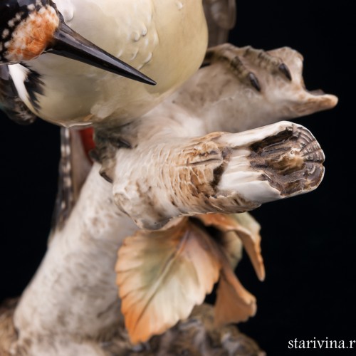 Пестрый дятел на березе, Hutschenreuther, Германия, 1938-55 гг