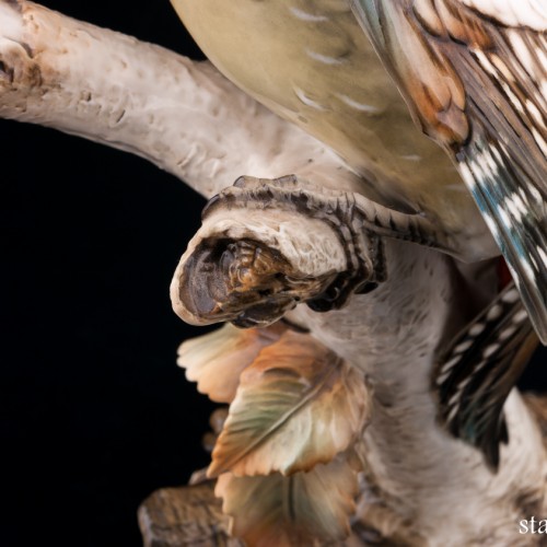 Пестрый дятел на березе, Hutschenreuther, Германия, 1938-55 гг