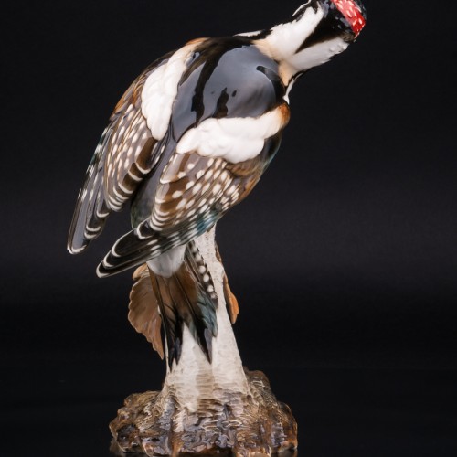 Пестрый дятел на березе, Hutschenreuther, Германия, 1938-55 гг