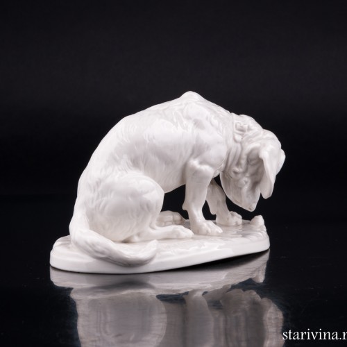 Виноватая такса, Nymphenburg, Германия, пер. пол. 20 в