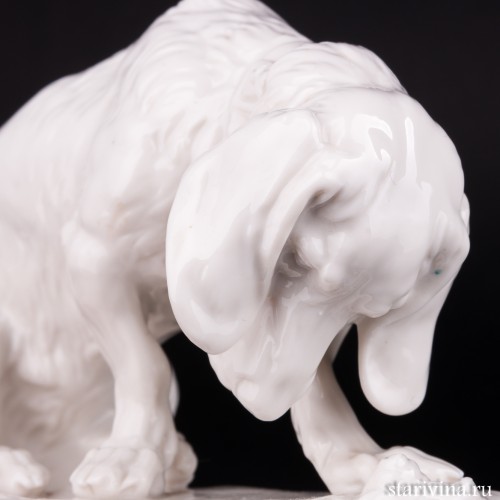 Виноватая такса, Nymphenburg, Германия, пер. пол. 20 в