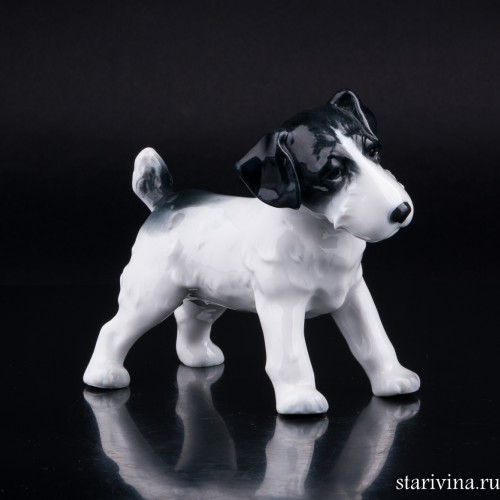 Тибетский терьер, Metzler & Ortloff, Германия, пер. пол. 20 в