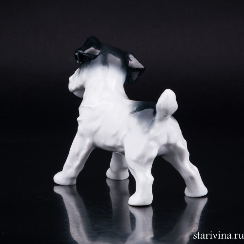 Тибетский терьер, Metzler & Ortloff, Германия, пер. пол. 20 в