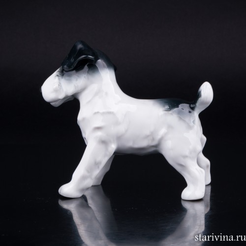 Тибетский терьер, Metzler & Ortloff, Германия, пер. пол. 20 в