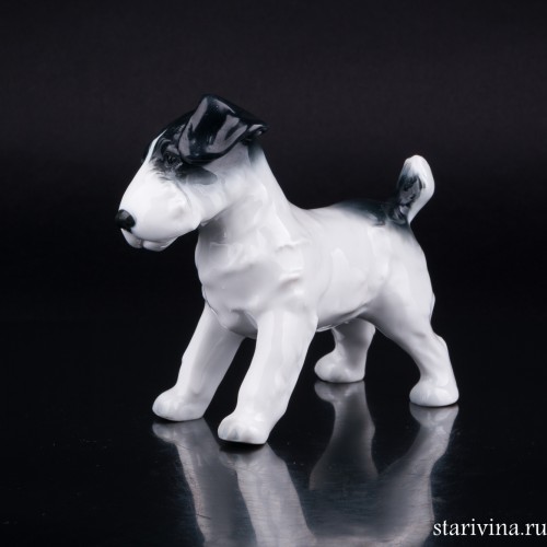 Тибетский терьер, Metzler & Ortloff, Германия, пер. пол. 20 в