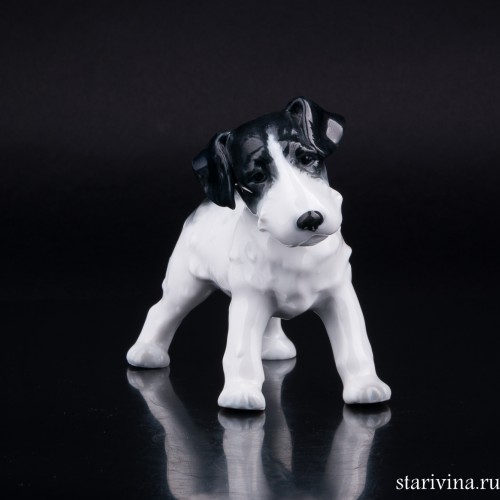 Тибетский терьер, Metzler & Ortloff, Германия, пер. пол. 20 в