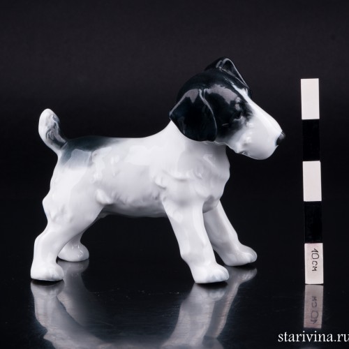 Тибетский терьер, Metzler & Ortloff, Германия, пер. пол. 20 в