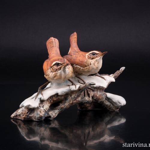 Крапивники на снегу, Tay, Италия