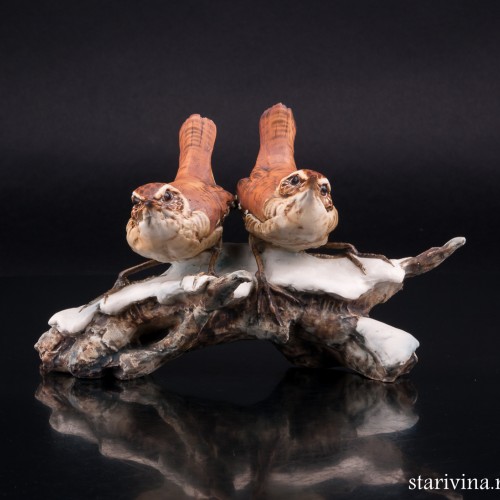 Крапивники на снегу, Tay, Италия