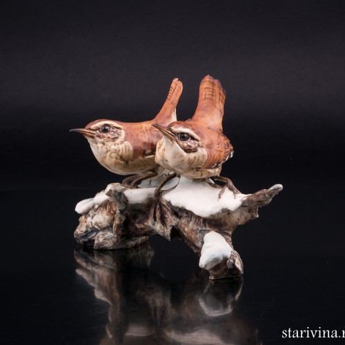 Крапивники на снегу, Tay, Италия