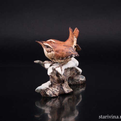 Крапивники на снегу, Tay, Италия