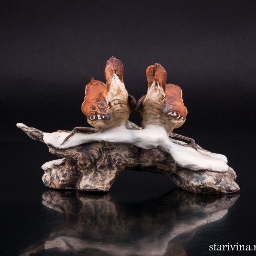 Крапивники на снегу, Tay, Италия