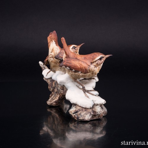 Крапивники на снегу, Tay, Италия