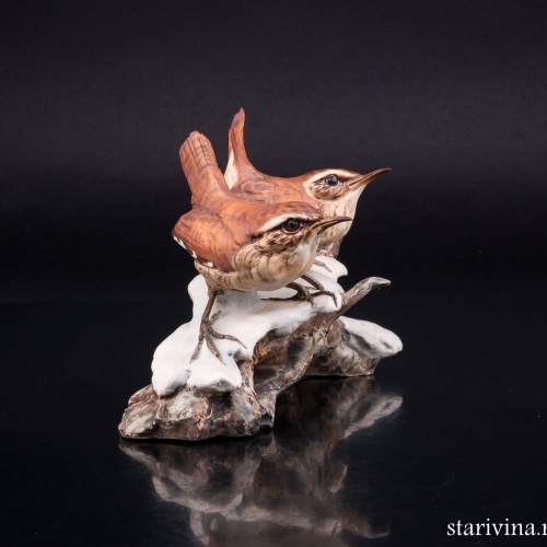 Крапивники на снегу, Tay, Италия