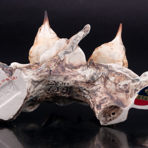 Крапивники на снегу, Tay, Италия