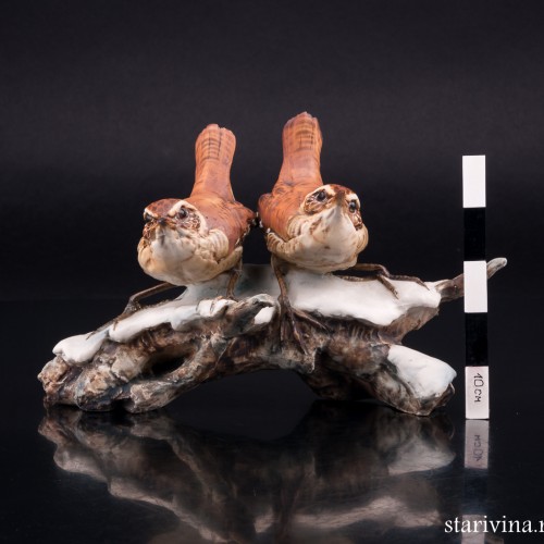 Крапивники на снегу, Tay, Италия