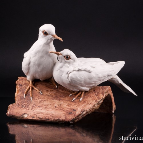 Две горлицы, Tay, Италия