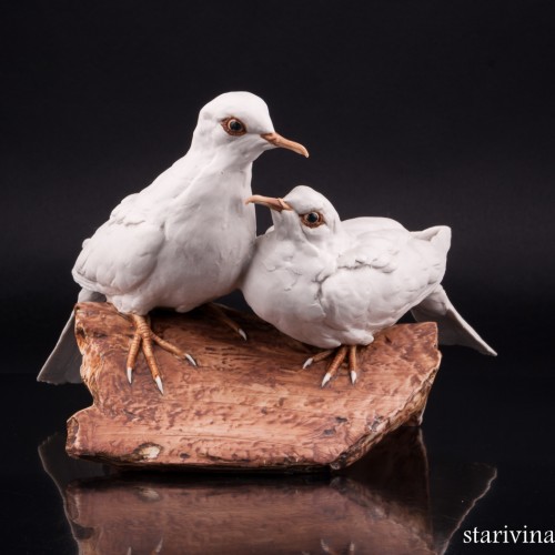 Две горлицы, Tay, Италия