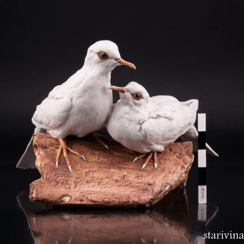 Две горлицы, Tay, Италия