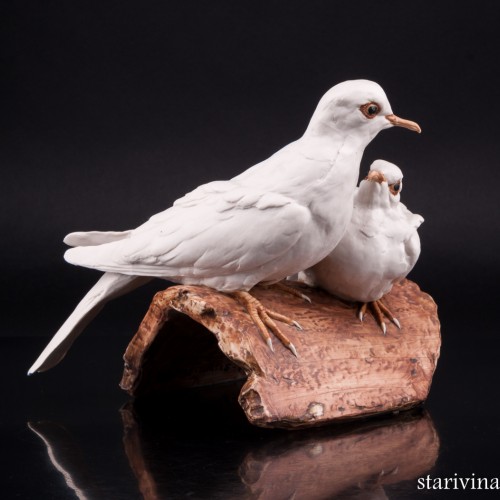 Две горлицы, Tay, Италия