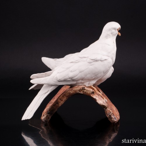 Две горлицы, Tay, Италия