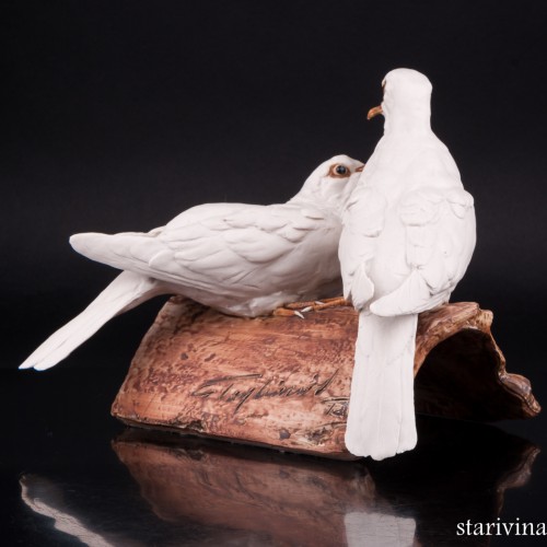 Две горлицы, Tay, Италия