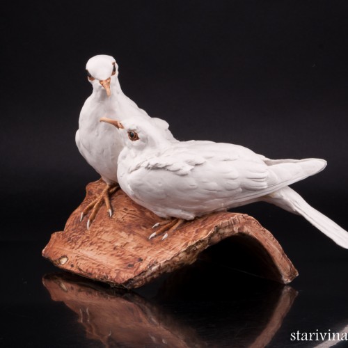 Две горлицы, Tay, Италия