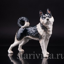 Лайка (Хаски), Goebel, Германия, сер. 20 в