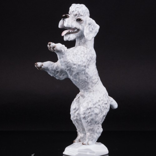 Фигурка собаки из фарфора Пудель на задних лапах, Rosenthal, Германия, 1960 гг.