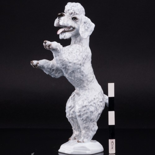 Фигурка собаки из фарфора Пудель на задних лапах, Rosenthal, Германия, 1960 гг.