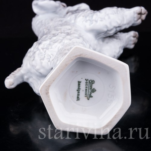Фигурка собаки из фарфора Пудель на задних лапах, Rosenthal, Германия, 1960 гг.