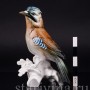 Фигурка птицы из фарфора Сойка обыкновенная, Karl Ens, Германия, 1940-50 гг.