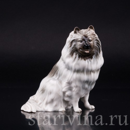 Статуэтка собаки из фарфора Шпиц, Hutschenreuther, Германия, 1970 гг.