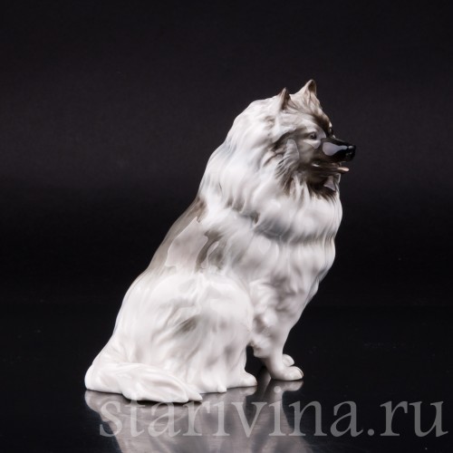 Статуэтка собаки из фарфора Шпиц, Hutschenreuther, Германия, 1970 гг.
