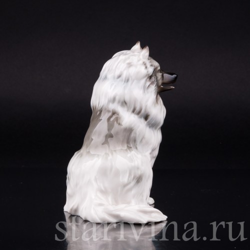 Статуэтка собаки из фарфора Шпиц, Hutschenreuther, Германия, 1970 гг.