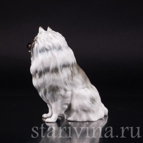 Статуэтка собаки из фарфора Шпиц, Hutschenreuther, Германия, 1970 гг.