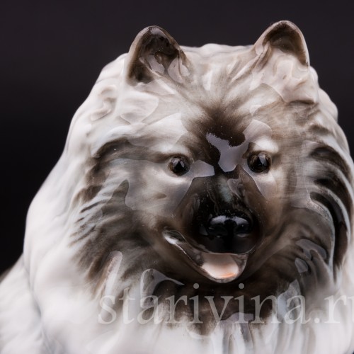 Статуэтка собаки из фарфора Шпиц, Hutschenreuther, Германия, 1970 гг.