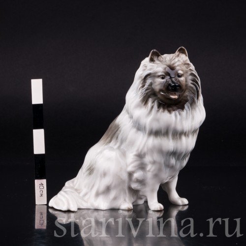 Статуэтка собаки из фарфора Шпиц, Hutschenreuther, Германия, 1970 гг.