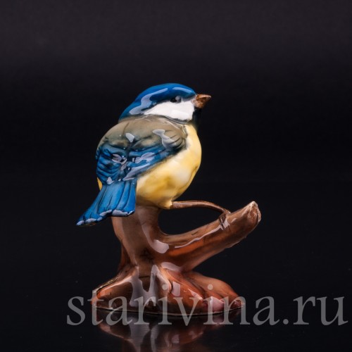 Лазоревка, Tay, Италия, сер. 20 в