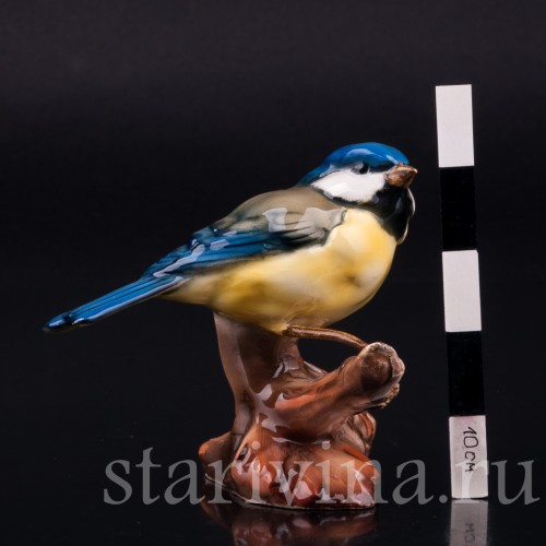 Лазоревка, Tay, Италия, сер. 20 в