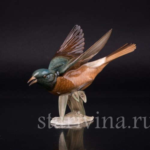 Горихвостка, Hutschenreuther, Германия, 1960 гг