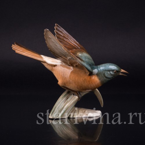 Горихвостка, Hutschenreuther, Германия, 1960 гг