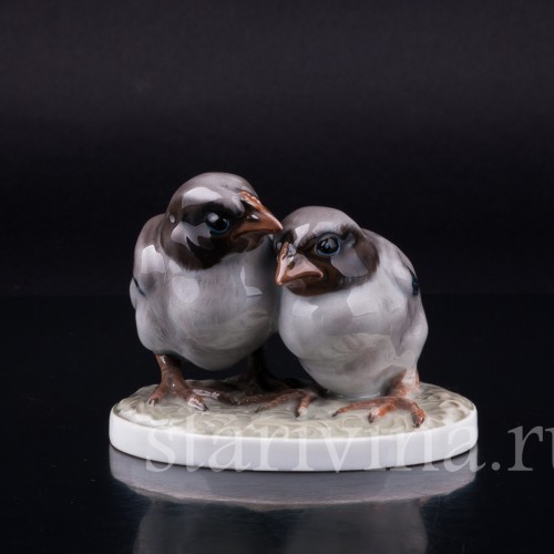 Два птенца, Rosenthal, Германия