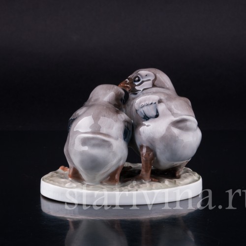 Два птенца, Rosenthal, Германия