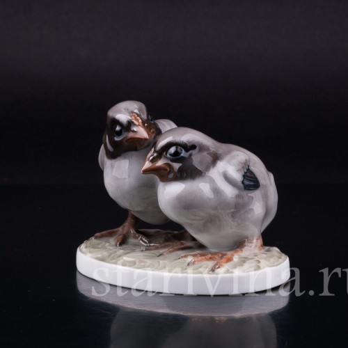 Два птенца, Rosenthal, Германия