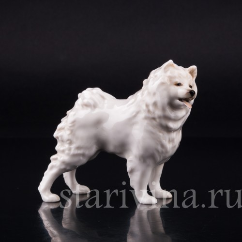 Шпиц, Hutschenreuther, Германия, вт. пол. 20 в