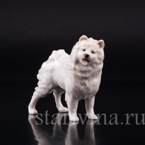 Шпиц, Hutschenreuther, Германия, вт. пол. 20 в